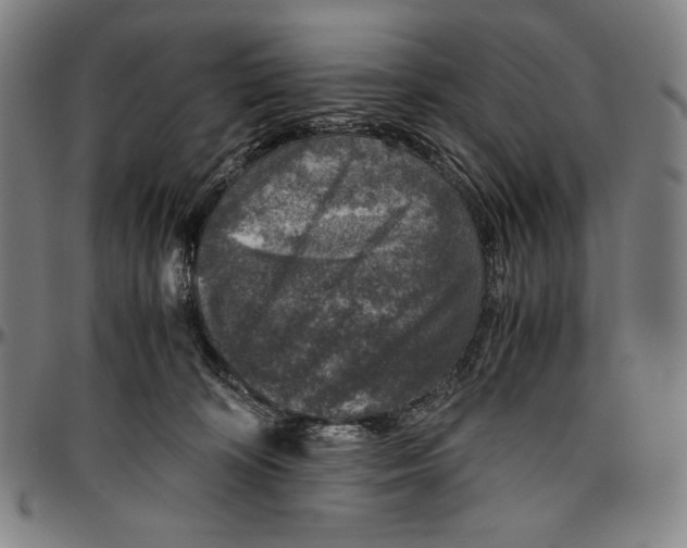 X0000096480324200802211220