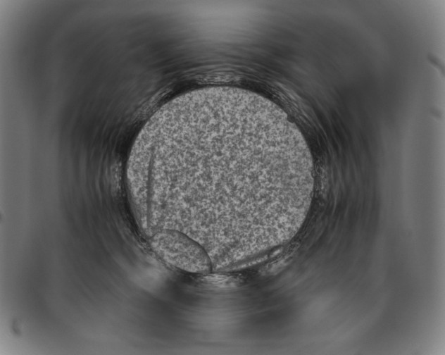 X0000096480326200802211220