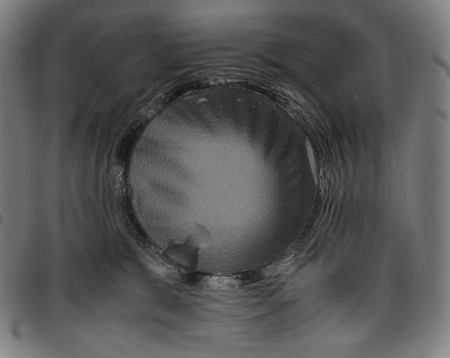 X0000096480327200802211220