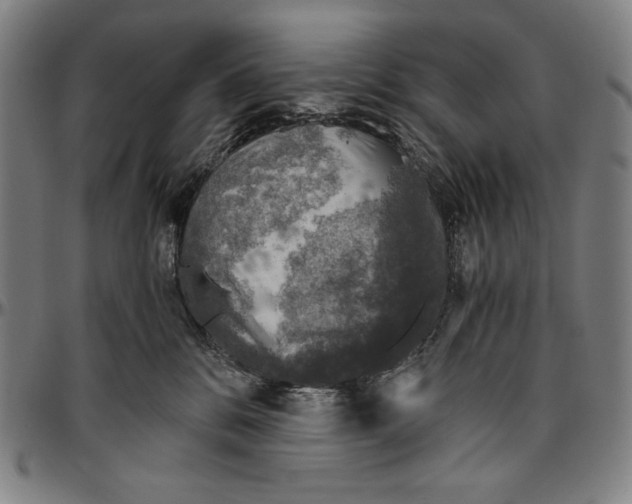 X0000096480328200802211220