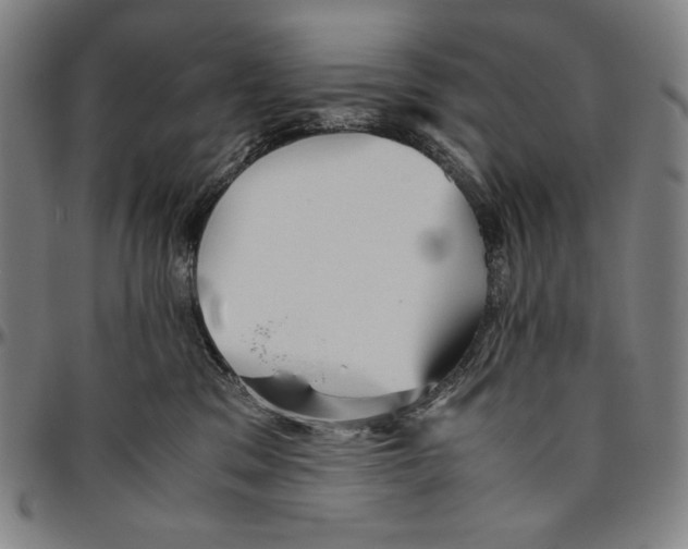 X0000096480329200802211220