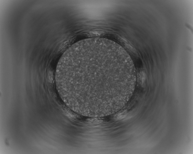 X0000096480331200802211220