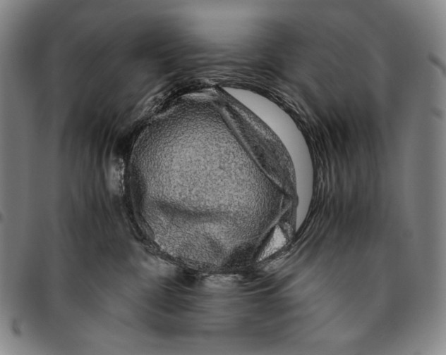X0000096480332200802211220