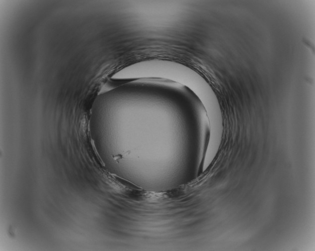 X0000096480333200802211220