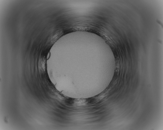 X0000096480334200802211220