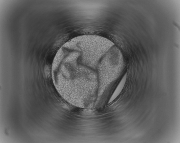 X0000096480335200802211220