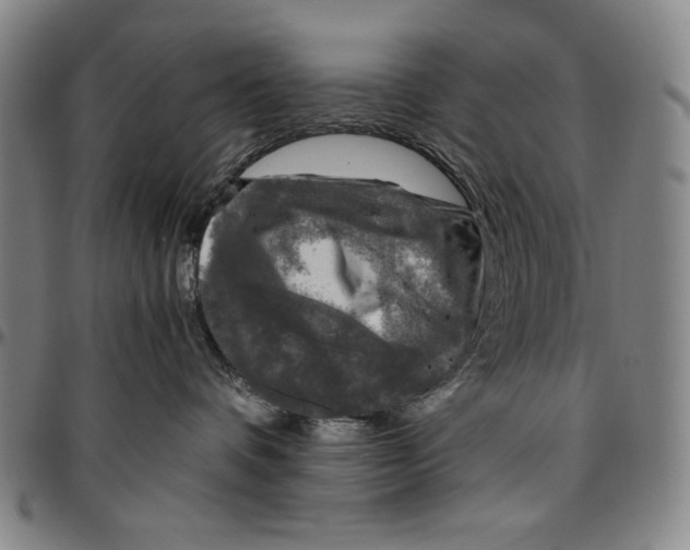X0000096480336200802211220