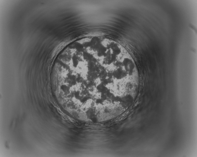 X0000096480337200802211219