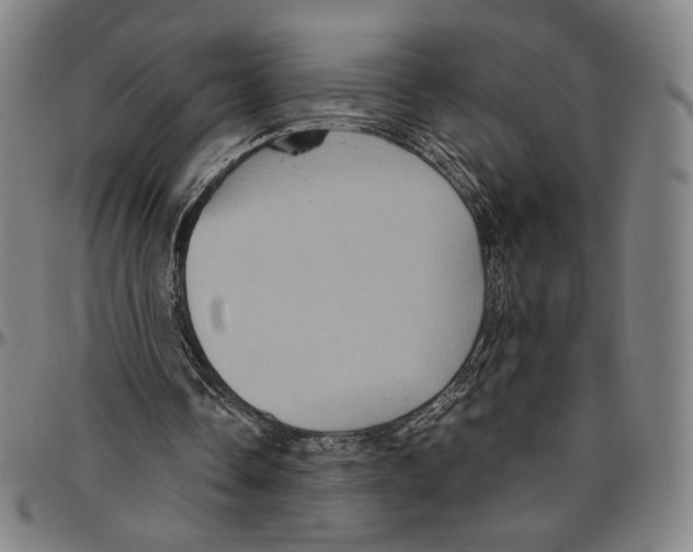 X0000096480338200802211219