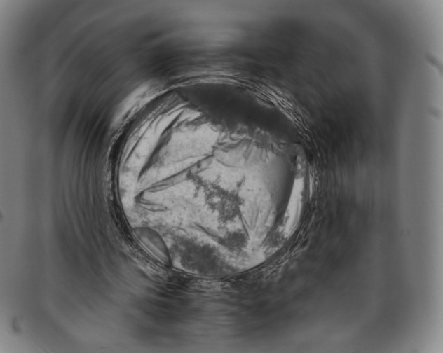 X0000096480339200802211219