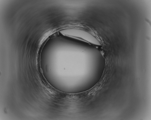 X0000096480340200802211219