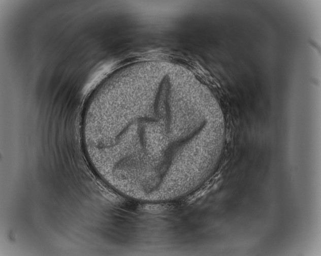 X0000096480341200802211219