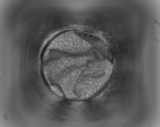 X0000096480342200802211219