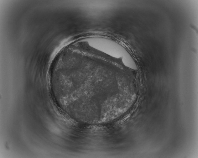 X0000096480343200802211219