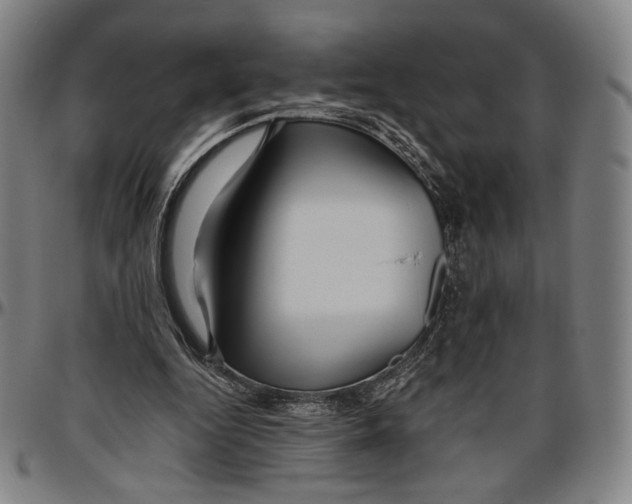 X0000096480344200802211219