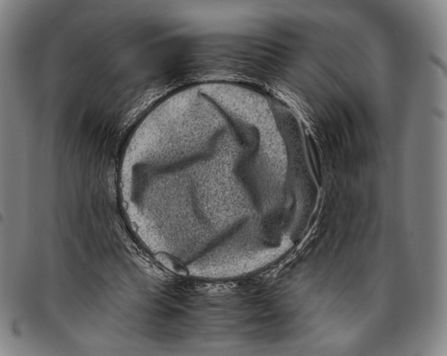 X0000096480345200802211219