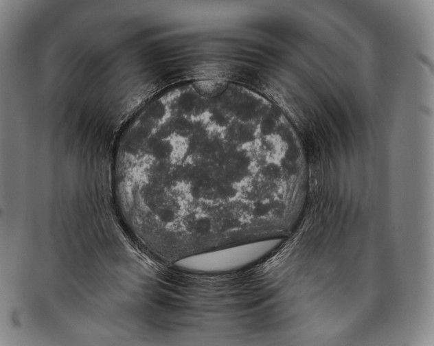 X0000096480349200802211219