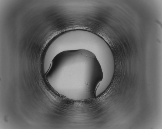 X0000096480350200802211219