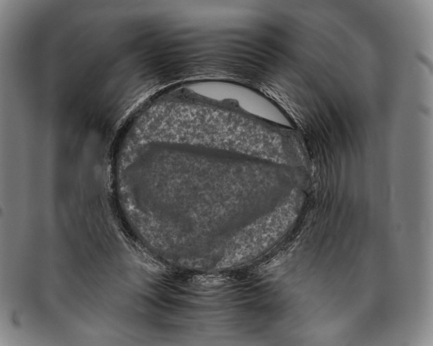 X0000096480351200802211219