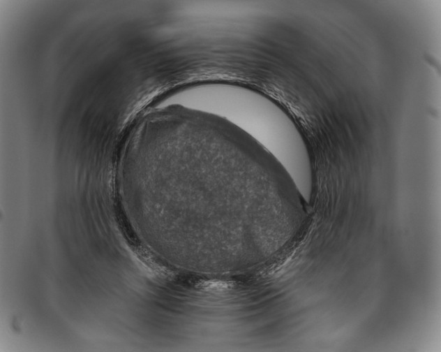 X0000096480352200802211219