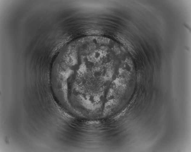 X0000096480353200802211219