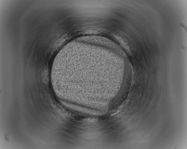 X0000096480354200802211219