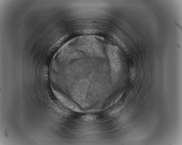 X0000096480356200802211219