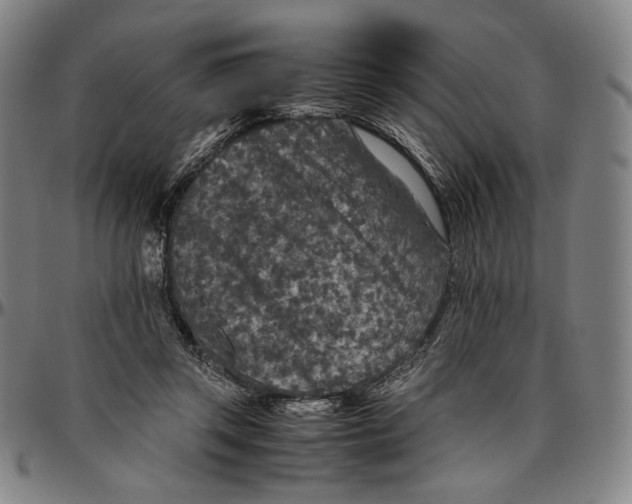 X0000096480357200802211219
