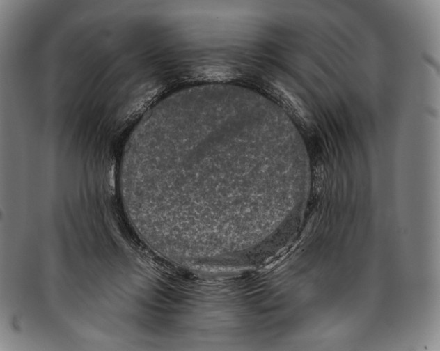 X0000096480358200802211219