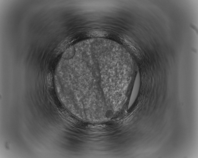 X0000096480359200802211219