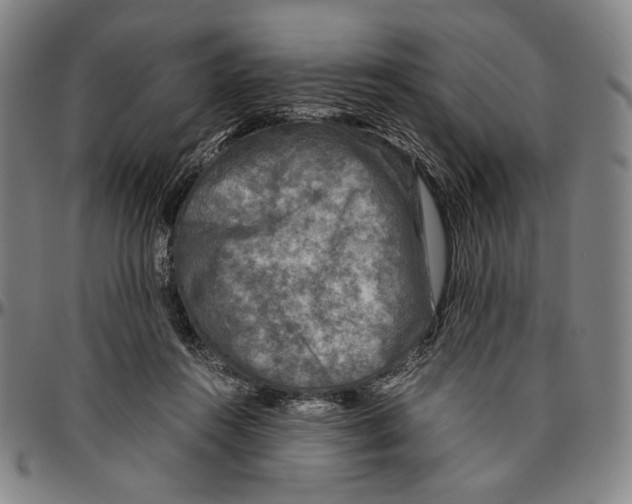 X0000096480360200802211219