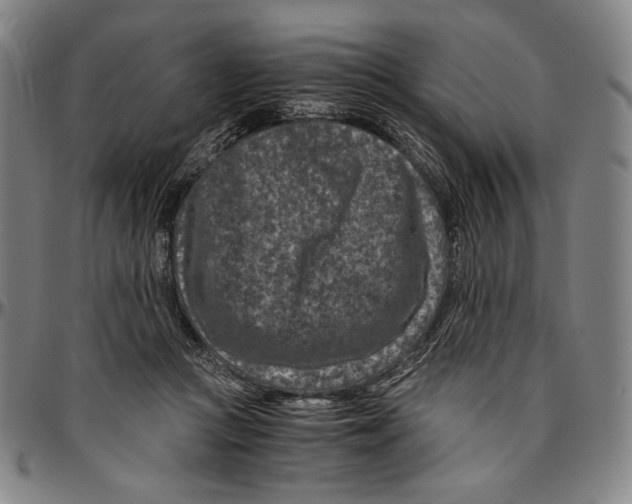 X0000096480361200802211219