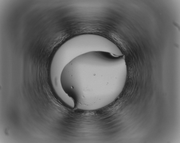 X0000096480362200802211219
