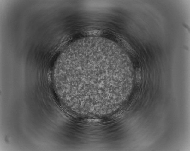 X0000096480363200802211219
