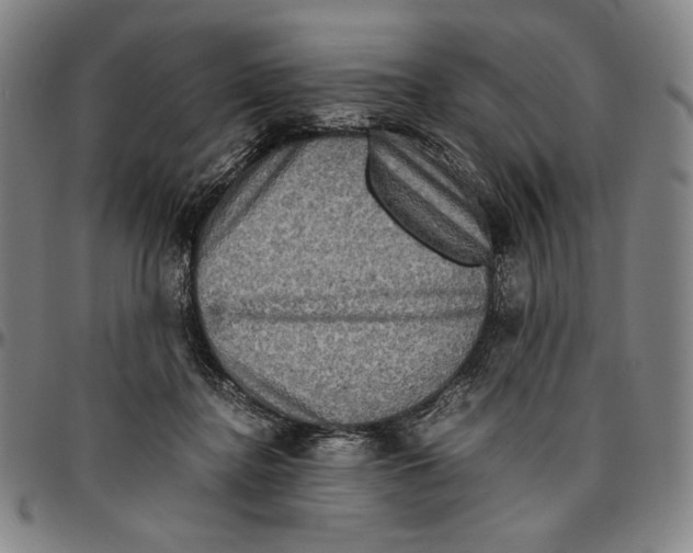 X0000096480364200802211220