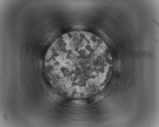 X0000096480365200802211220