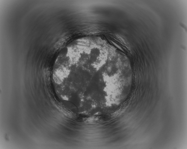 X0000096480366200802211220
