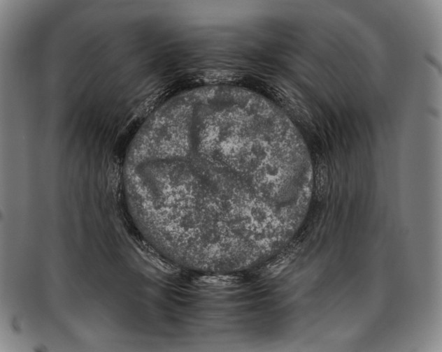 X0000096480367200802211220