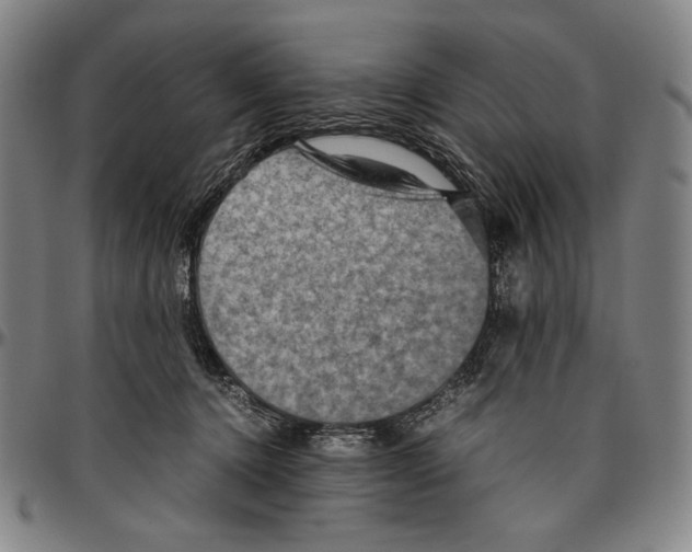 X0000096480368200802211220