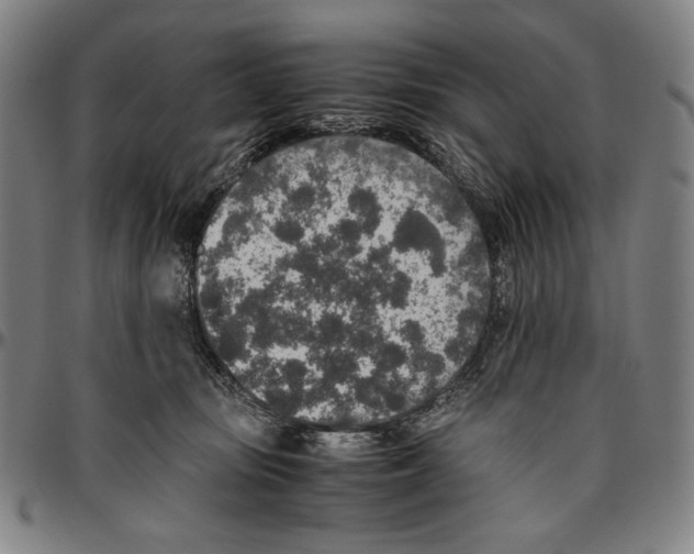 X0000096480371200802211220