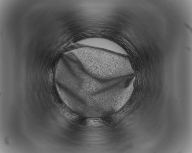 X0000096480372200802211220
