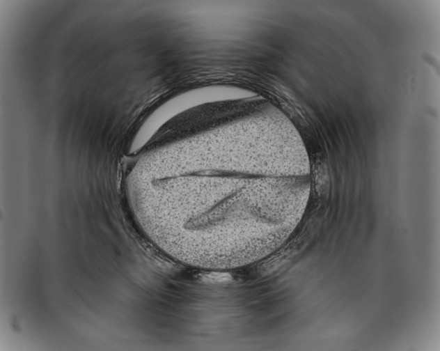 X0000096480374200802211220