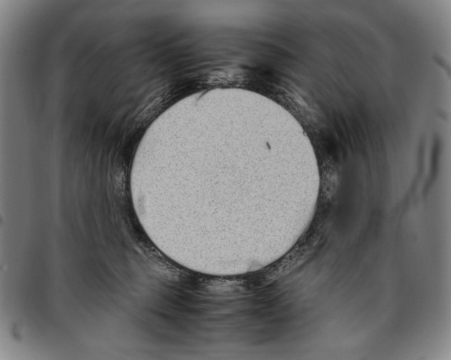 X0000096480375200802211220
