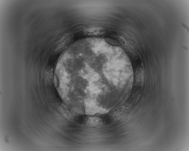 X0000096480376200802211220