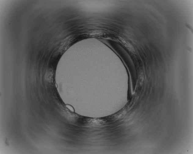 X0000096480379200802211220