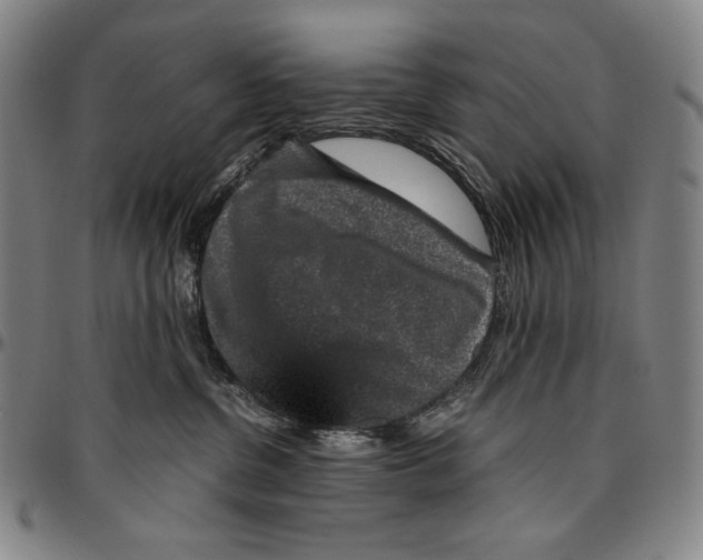 X0000096480380200802211220