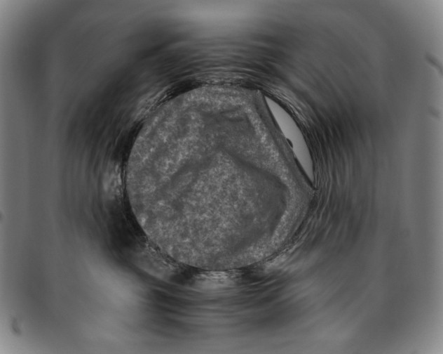X0000096480381200802211220