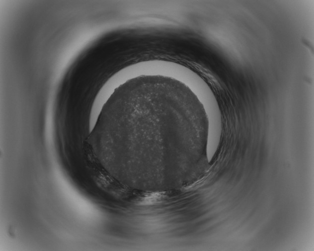 X0000096480382200802211220