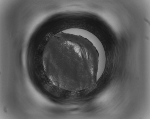 X0000096480383200802211220