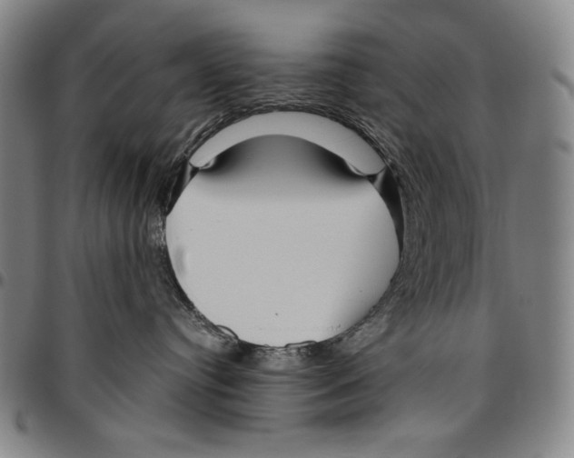 X0000096480384200802211220